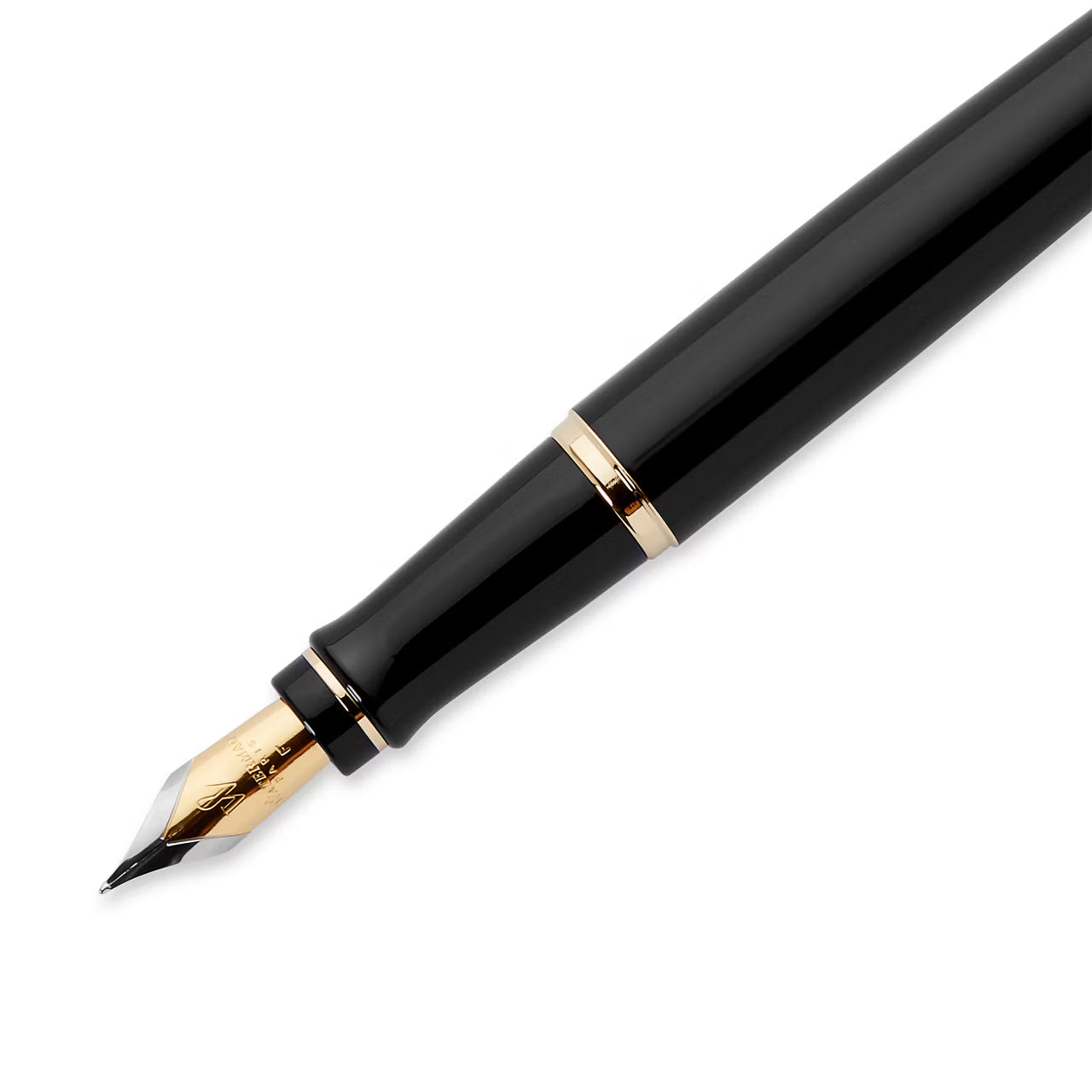 Waterman Expert Fountain Pen