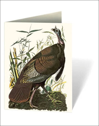 Audubon's Birds of America Boxed Notecards
