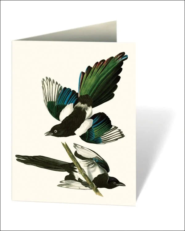 Audubon's Birds of America Boxed Notecards