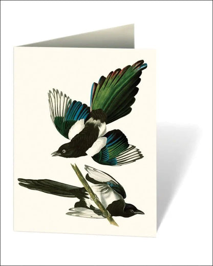 Audubon's Birds of America Boxed Notecards