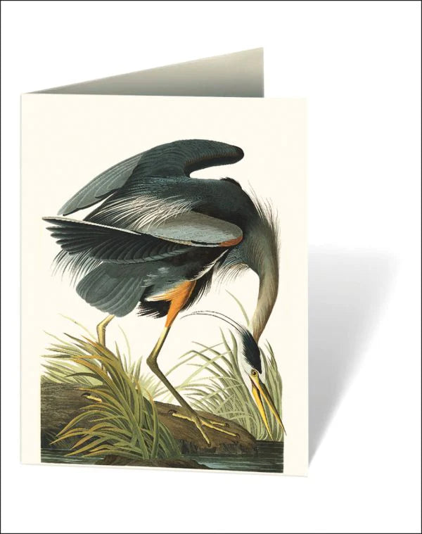 Audubon's Birds of America Boxed Notecards