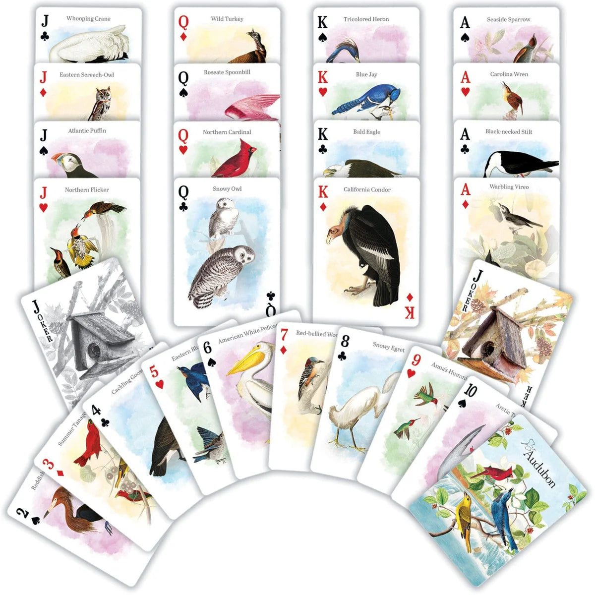 Audubon Playing Cards