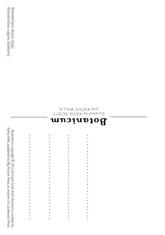 Botanicum Postcards