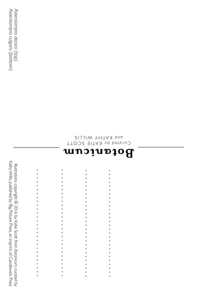Botanicum Postcards