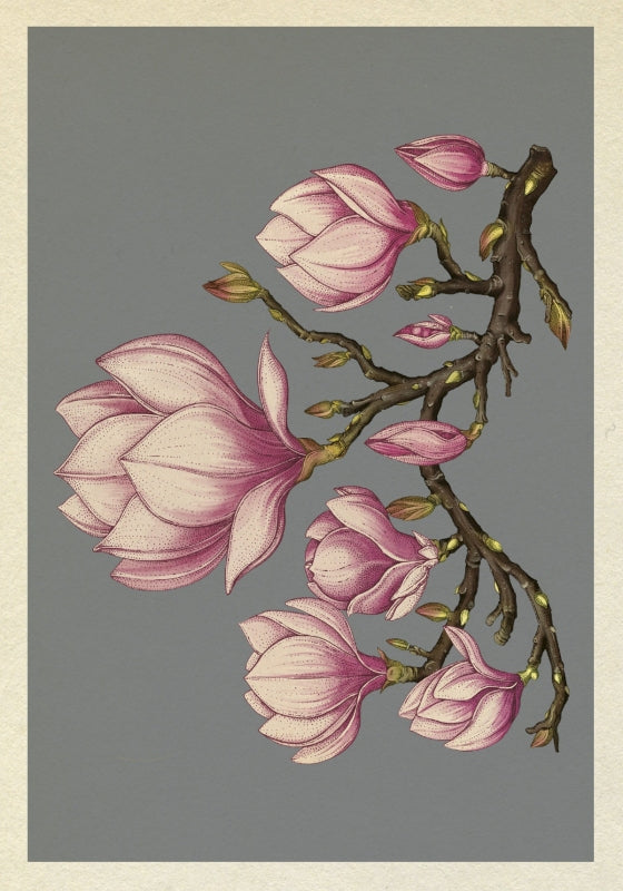 Botanicum Postcards