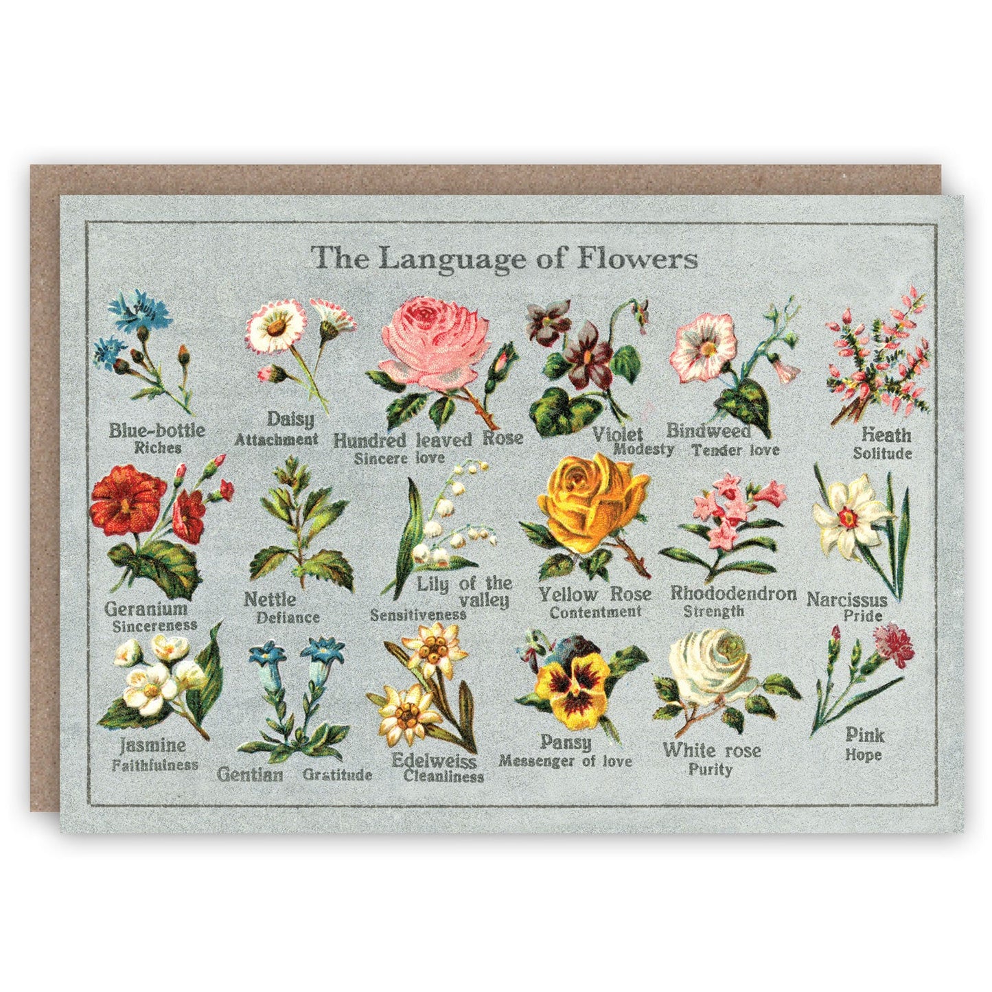 The Floral Greeting Card Collection