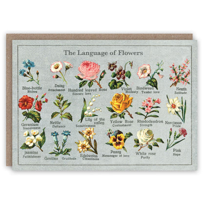 The Floral Greeting Card Collection