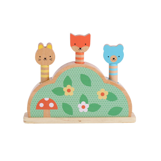 Little Friends Wooden Pop-Up Toy