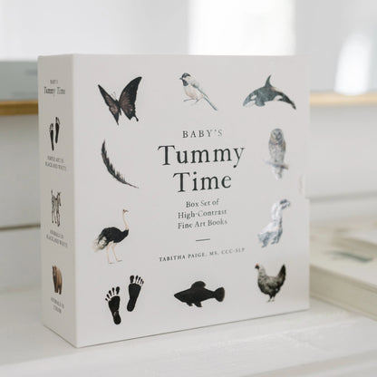 Tummy Time Accordion Books