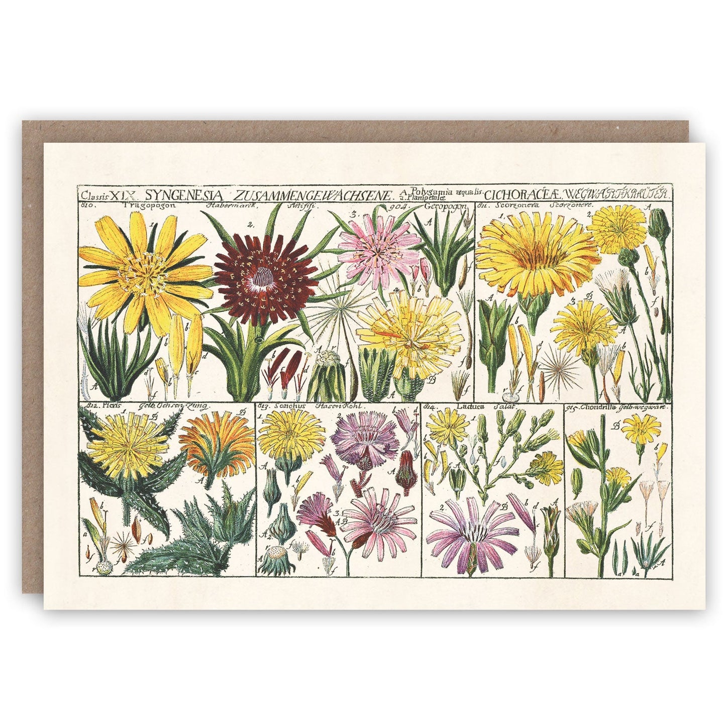 The Floral Greeting Card Collection