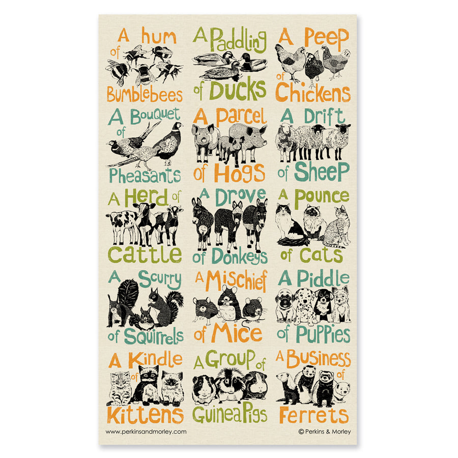 Collective Noun Animals Tea Towel 2