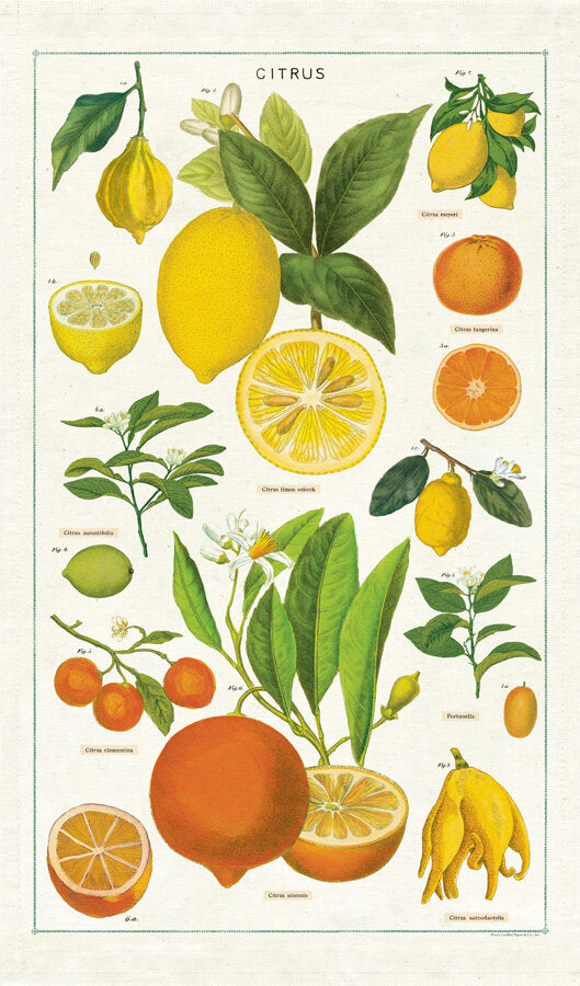 Vintage Citrus Tea Towel The Reader S Catalog   TT CITRUS 1024x1024 