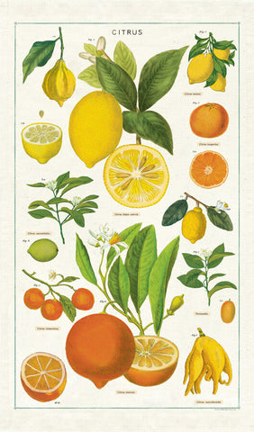 Vintage Citrus Tea Towel